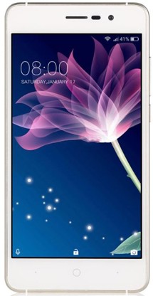 Doogee X10 Dual-SIM 0.5GB / 8GB Mocha Gold