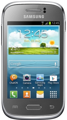 Samsung S6310 Galaxy Young Titan Grey (GT-S6310TANETL)