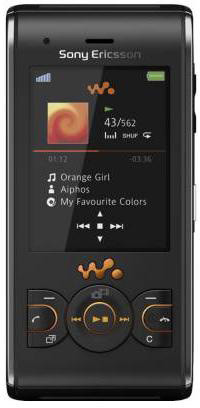 Sony Ericsson W595 Lava Black TM