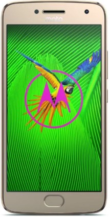 Motorola Moto G5 PLUS Dual-SIM Fine Gold
