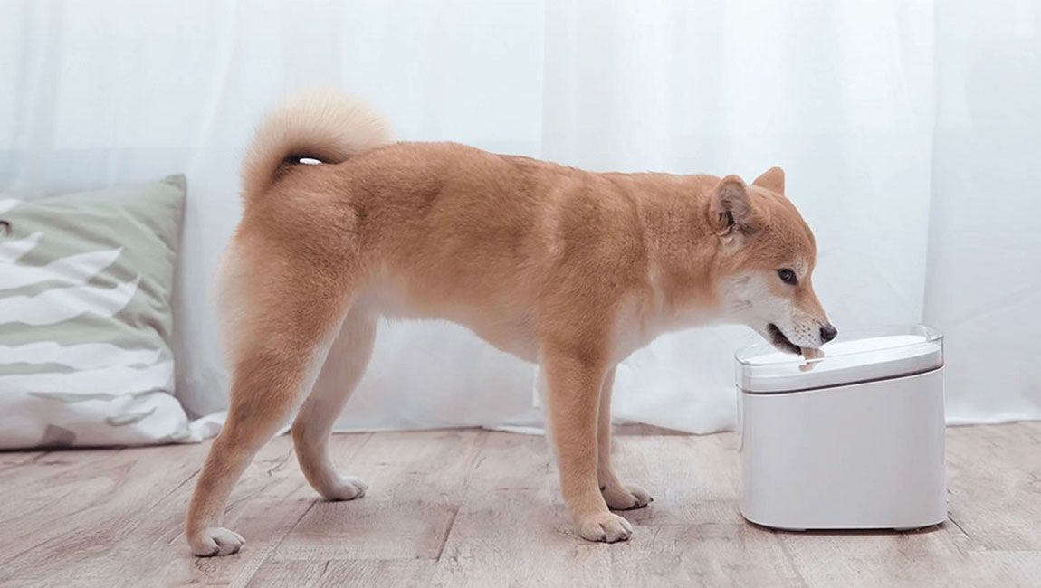 Xiaomi Smart Pet Fountain