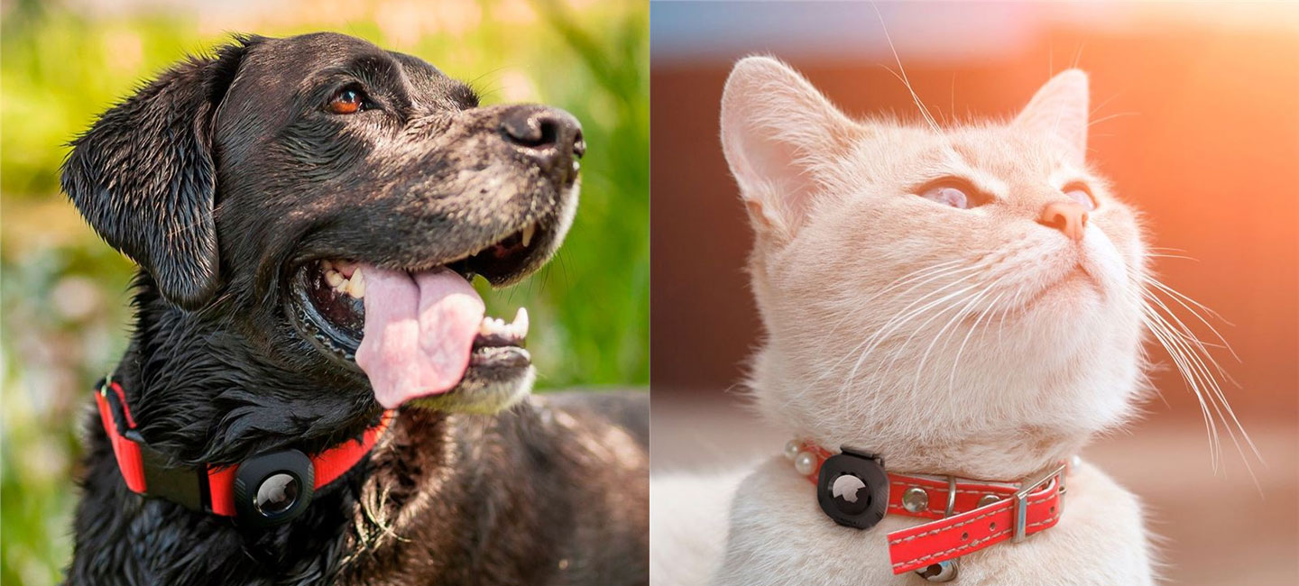 Spigen Pet Collar Apple AirTag