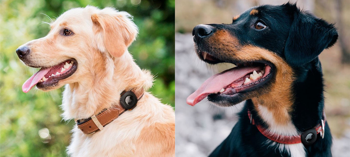 Spigen Pet Collar Apple AirTag