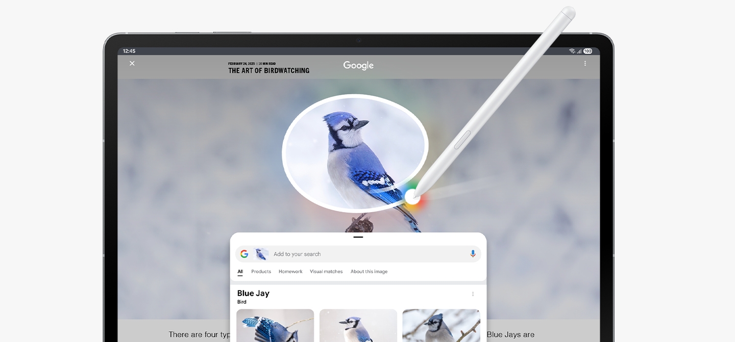 Samsung Galaxy Tab S10 FE series