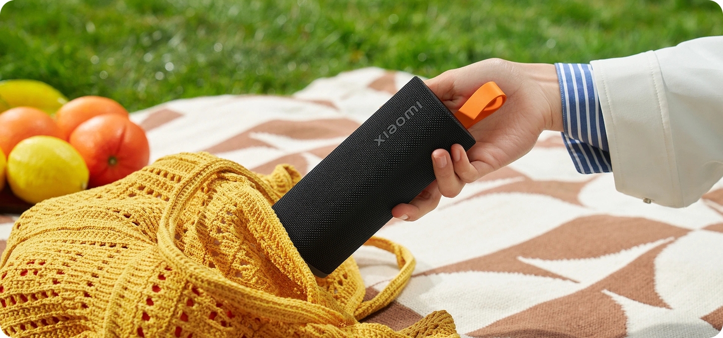 Xiaomi Sound Play